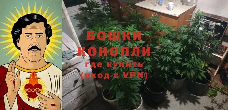 дарнет шоп  Кинель  Конопля OG Kush 